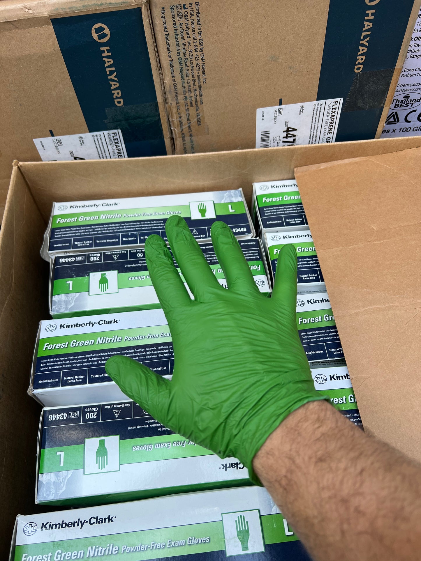 Kimberly-Clark (Green)