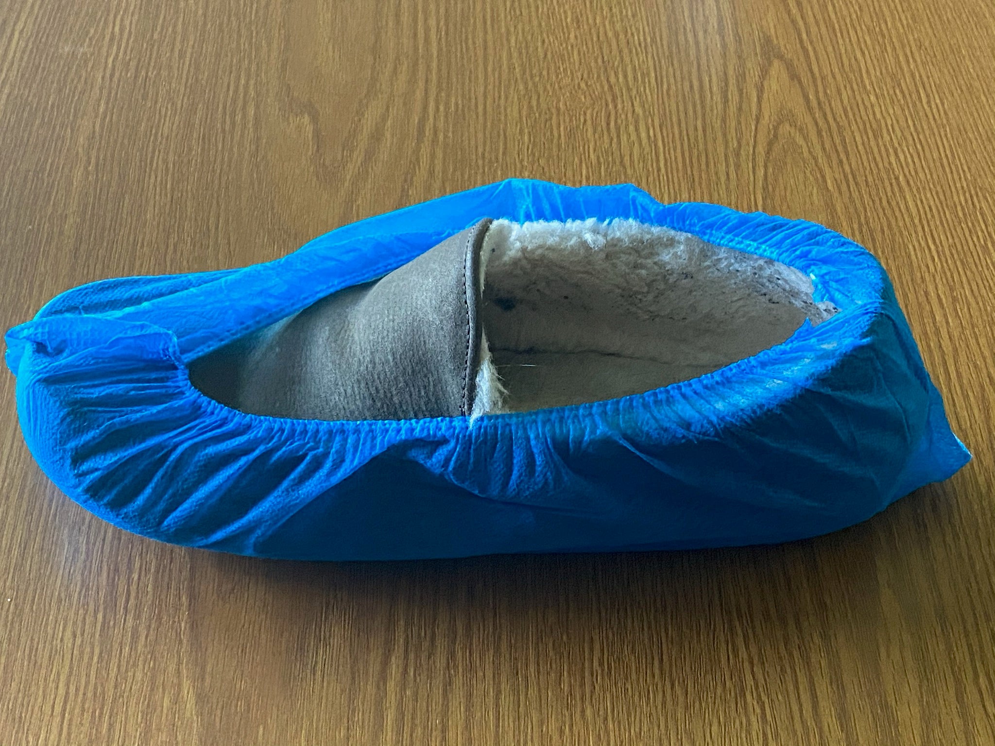 Standard Size Blue Shoe Covers- Bag of 100