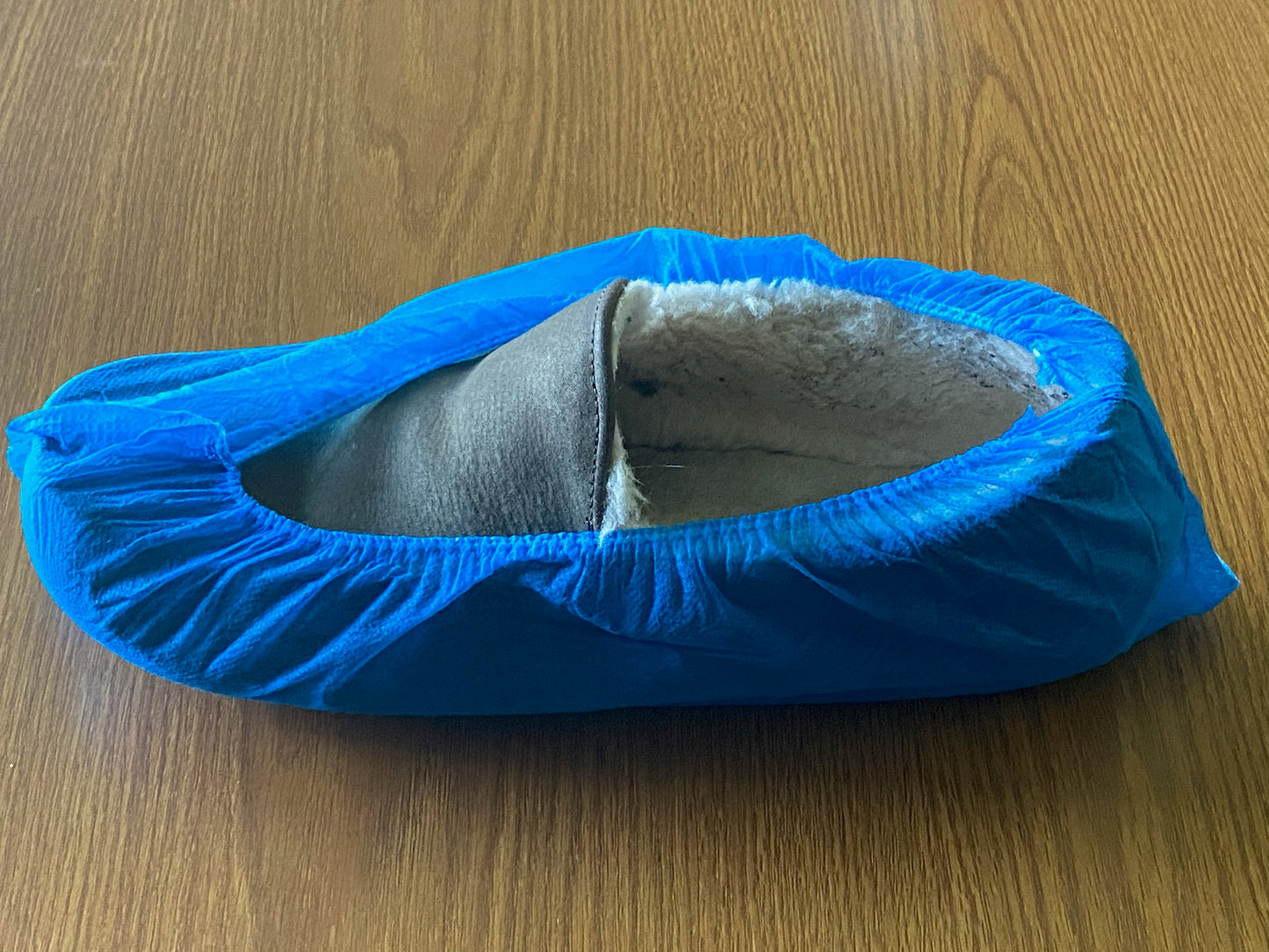 Standard Size Blue Shoe Covers- Bag of 100