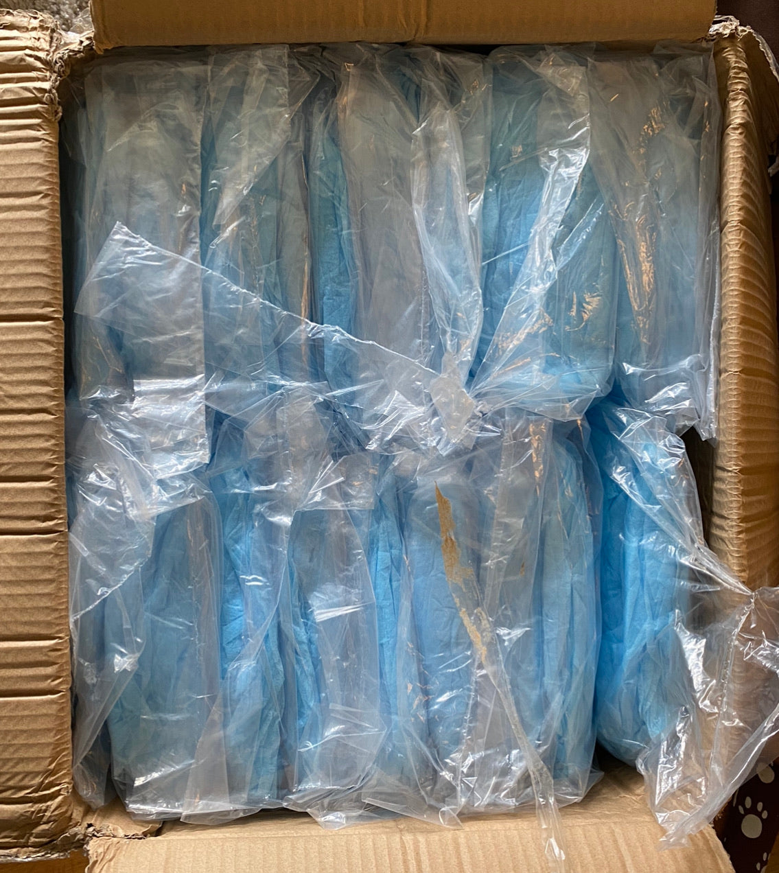 21" Blue Bouffant Caps- Case of 1K